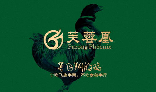 芙蓉凰鸡携手万域广告 打造深圳品牌设计的卓越典范